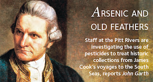 Arsenic and old feathers